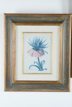 Load image into Gallery viewer, Pair Framed Fritillaria Imperiale Botanical Prints Redoute Style 17 x 20
