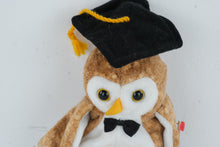 Load image into Gallery viewer, Ty Beanie Baby Wisest Owl Class of 2000 Graduation Plush Vintage 8 Inch With Tag
