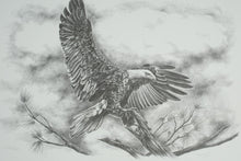 Load image into Gallery viewer, Sharon Meiley Signed Bald Eagle Wildlife Art Print Limited Edition 2722 of 3000
