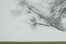 Load image into Gallery viewer, Sharon Meiley Signed Bald Eagle Wildlife Art Print Limited Edition 2722 of 3000

