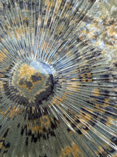 Load image into Gallery viewer, Vintage Clear Glass Platter – 13” Radiant Ribbed Sunburst Design Serving Plate
