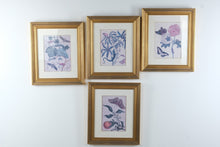 Load image into Gallery viewer, Set of 4 Framed Botanical Insect Prints Gold Frames 16 x 19
