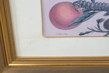 Load image into Gallery viewer, Set of 4 Framed Botanical Insect Prints Gold Frames 16 x 19
