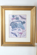 Load image into Gallery viewer, Set of 4 Framed Botanical Insect Prints Gold Frames 16 x 19

