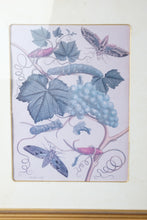 Load image into Gallery viewer, Set of 4 Framed Botanical Insect Prints Gold Frames 16 x 19
