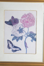Load image into Gallery viewer, Set of 4 Framed Botanical Insect Prints Gold Frames 16 x 19
