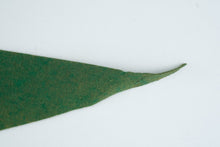 Load image into Gallery viewer, Vintage 1970 Minnesota North Stars NHL Felt Pennant Hockey 30 Inch
