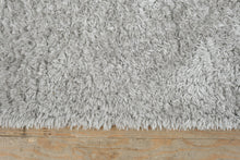 Load image into Gallery viewer, Style Selections Gray Shag Area Rug 4x6 Polyester Plush Modern
