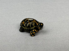 Load image into Gallery viewer, Micro Tortoise
