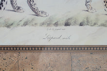 Load image into Gallery viewer, Safari Animal Wall Art Set Elephant Lion Leopard Framed Prints USA
