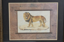 Load image into Gallery viewer, Safari Animal Wall Art Set Elephant Lion Leopard Framed Prints USA
