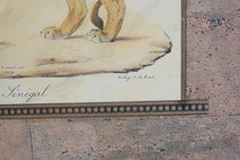 Load image into Gallery viewer, Safari Animal Wall Art Set Elephant Lion Leopard Framed Prints USA
