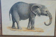 Load image into Gallery viewer, Safari Animal Wall Art Set Elephant Lion Leopard Framed Prints USA
