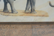 Load image into Gallery viewer, Safari Animal Wall Art Set Elephant Lion Leopard Framed Prints USA
