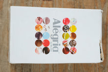 Load image into Gallery viewer, Alegria by PG Lite Mary Jane Shoes – FEL-713 Choco Patent Snake – Women’s EU 41 / US 10.5 – New
