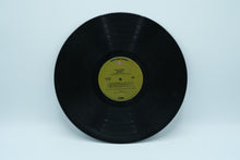 Load image into Gallery viewer, America – Homecoming (1972, Warner Bros. BS 2655) – Folk Rock Vinyl LP
