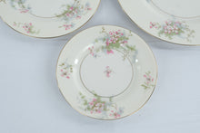 Load image into Gallery viewer, Vintage Theodore Haviland New York Apple Blossom China Plates Set of 3
