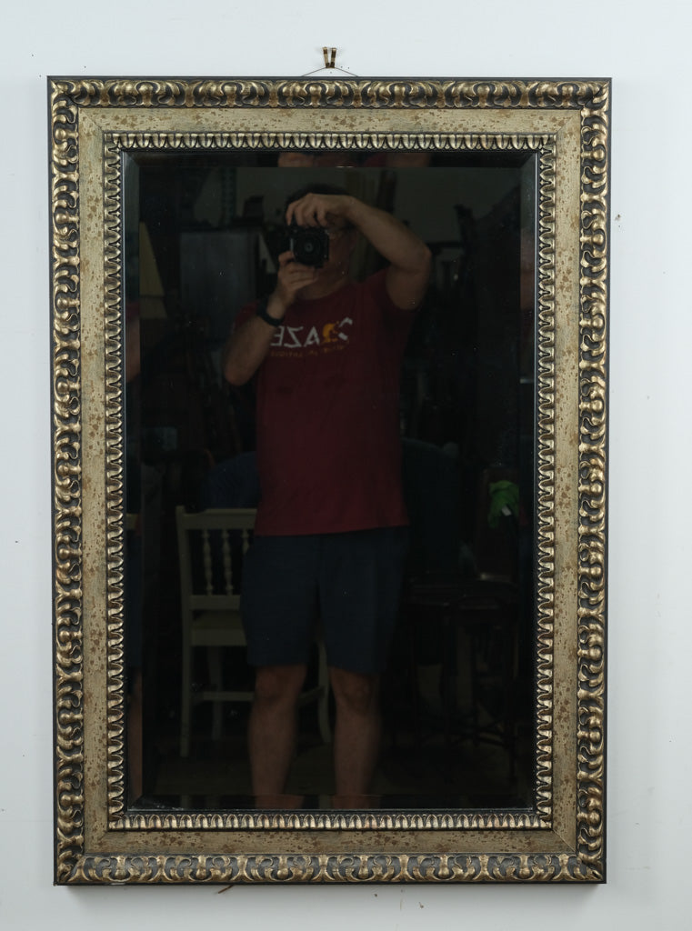 Used Mirrors Near Raleigh – Craze Furniture and Antiques