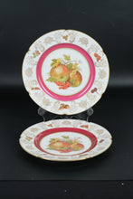 Load image into Gallery viewer, Set of 10 Winterling Germany 10&quot; Fruit Plates – Mixed Motif – Pink &amp; Gold Rim Porcelain
