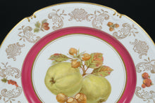 Load image into Gallery viewer, Pair of Vintage Winterling Fruit Plates – Green Apples &amp; Hazelnuts with Pink &amp; Gold Rim - Mix &amp; Match Set
