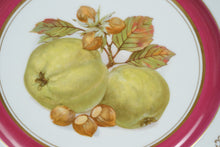 Load image into Gallery viewer, Pair of Vintage Winterling Fruit Plates – Green Apples &amp; Hazelnuts with Pink &amp; Gold Rim - Mix &amp; Match Set
