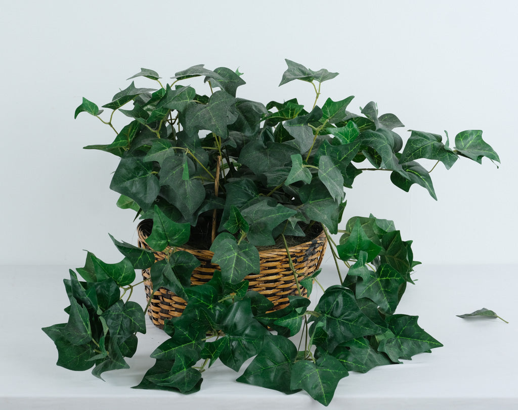 Artificial English Ivy Arrangement in Handwoven Wicker Basket – 13