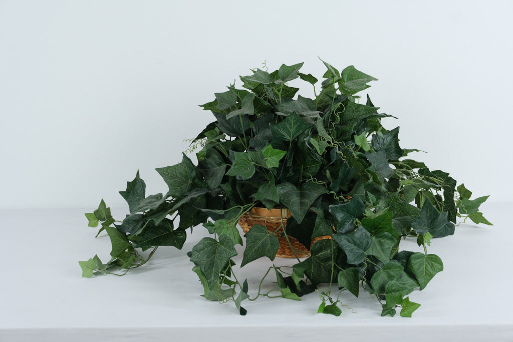 Artificial English Ivy Arrangement in Handwoven Basket – Realistic Cascading Greenery Décor