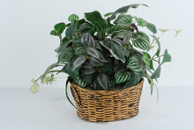 Load image into Gallery viewer, Artificial Mixed Greenery Arrangement in Handwoven Oval Basket – 13&quot; x 12&quot; x 7&quot; Realistic Silk Plant Display
