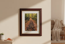 Load image into Gallery viewer, John W Snell Autumn Pathway Framed Landscape Photograph Print 14x17
