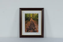 Load image into Gallery viewer, John W Snell Autumn Pathway Framed Landscape Photograph Print 14x17
