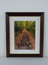 Load image into Gallery viewer, John W Snell Autumn Pathway Framed Landscape Photograph Print 14x17
