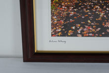 Load image into Gallery viewer, John W Snell Autumn Pathway Framed Landscape Photograph Print 14x17

