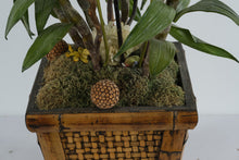 Load image into Gallery viewer, Artificial Orchid Arrangement Bamboo Planter Tall Floor Decor 48 Inch
