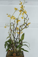 Load image into Gallery viewer, Artificial Orchid Arrangement Bamboo Planter Tall Floor Decor 48 Inch
