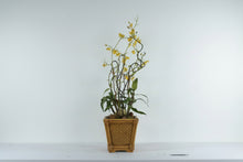 Load image into Gallery viewer, Artificial Orchid Arrangement Bamboo Planter Tall Floor Decor 48 Inch
