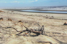 Load image into Gallery viewer, Large Coastal Beach Landscape Canvas Print Framed Wall Art 54x39
