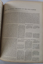 Load image into Gallery viewer, 19th Century Press Leather Family Bible
