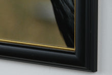 Load image into Gallery viewer, &quot;Crowned Majesty&quot; – Framed Photograph of an African Crowned Crane

