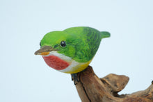 Load image into Gallery viewer, Handcrafted “San Pedrito” Puerto Rican Tody Bird Sculpture on Driftwood Base – Signed
