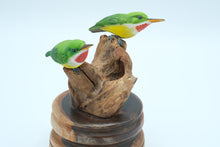 Load image into Gallery viewer, Handcrafted “San Pedrito” Puerto Rican Tody Bird Sculpture on Driftwood Base – Signed
