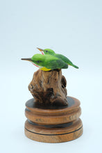 Load image into Gallery viewer, Handcrafted “San Pedrito” Puerto Rican Tody Bird Sculpture on Driftwood Base – Signed
