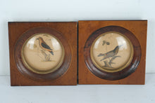Load image into Gallery viewer, Vintage Pair Framed Bird Prints with Convex Glass 4.5 Inch Square
