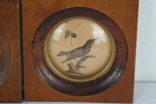 Load image into Gallery viewer, Vintage Pair Framed Bird Prints with Convex Glass 4.5 Inch Square
