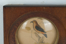 Load image into Gallery viewer, Vintage Pair Framed Bird Prints with Convex Glass 4.5 Inch Square
