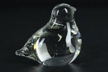 Load image into Gallery viewer, Clear Blown Glass Bird Figurine – Modern Minimalist Style
