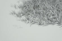 Load image into Gallery viewer, Sharon Meiley Signed Wild Boar Wildlife Art Print Limited Edition 1680 of 3000
