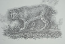 Load image into Gallery viewer, Sharon Meiley Signed Bobcat Wildlife Art Print Limited Edition 2893 of 3000
