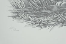 Load image into Gallery viewer, Sharon Meiley Signed Bobcat Wildlife Art Print Limited Edition 2893 of 3000
