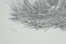 Load image into Gallery viewer, Sharon Meiley Signed Bobcat Wildlife Art Print Limited Edition 2893 of 3000
