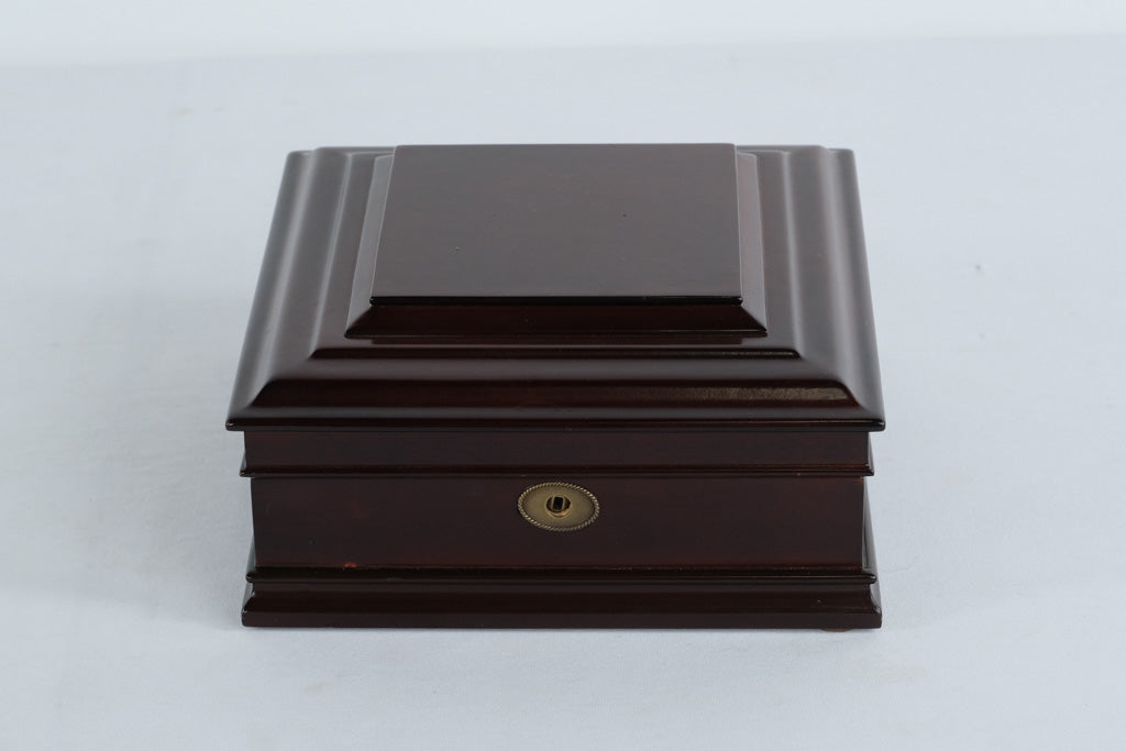 Bombay Company Mahogany Watch Box – 8